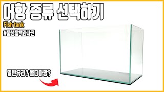 어항 종류, 일반어항? 올디아망? 차이를 알아봅시다. [#물생활백과사전 ]