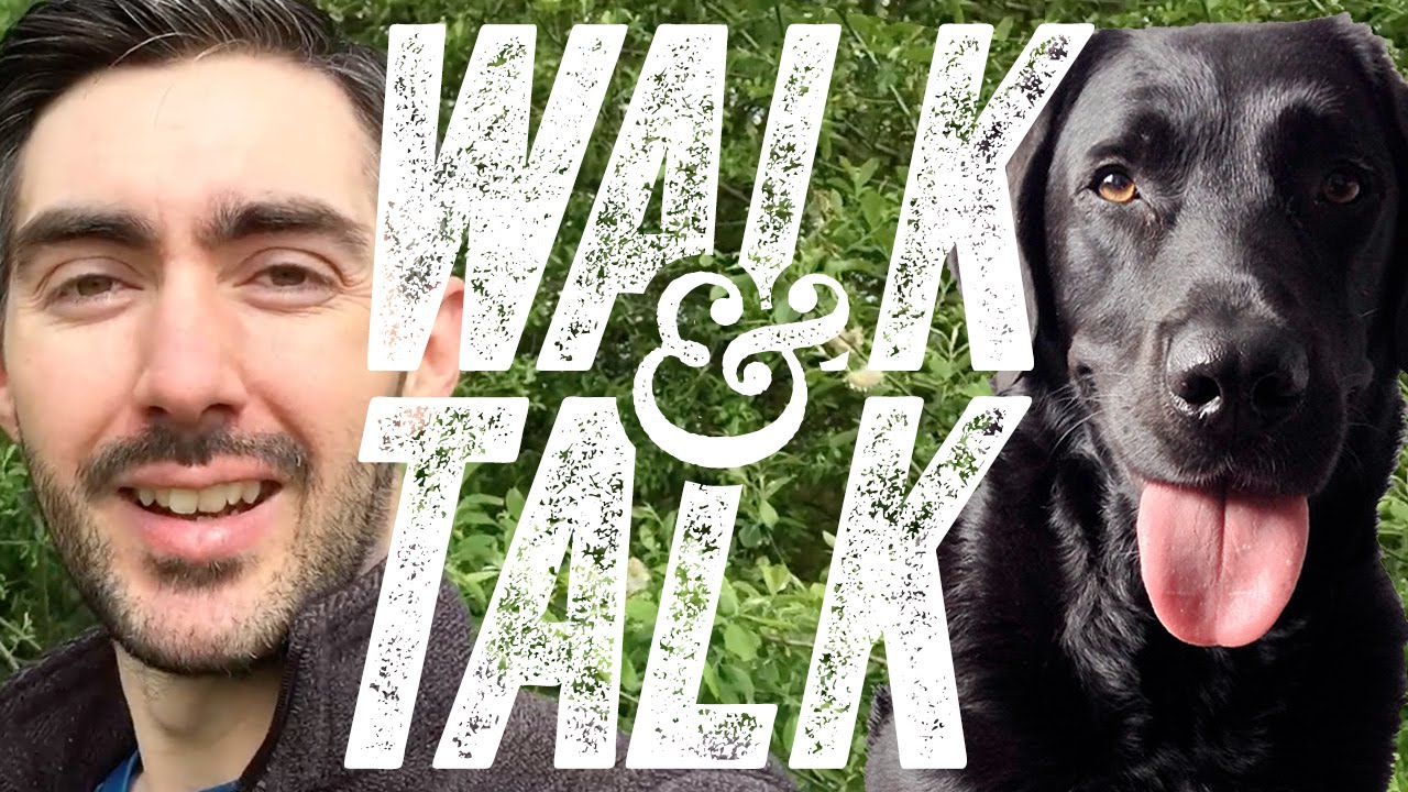 Walk talk блоггер. Автор канала walk & talk. Walk talk игра. Walk talk youtube. Walk talk.