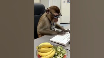 Omniston: interesting protocol on TON by ston.fi