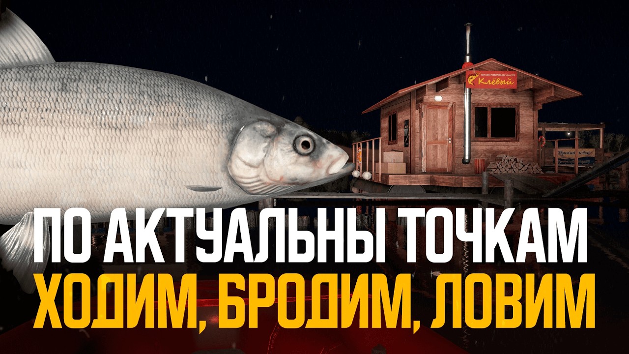 В надежде на трофей по актуальным точкам ● Русская рыбалка 4 ● Перчик РР4