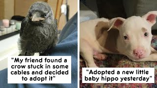 The Most Adorable Pets That Found Their Forever Home This May