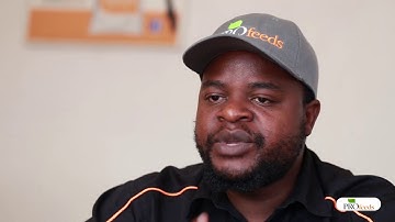 Profeeds Technical Advisor Kelvin Changwesha shares tips on good broiler management.