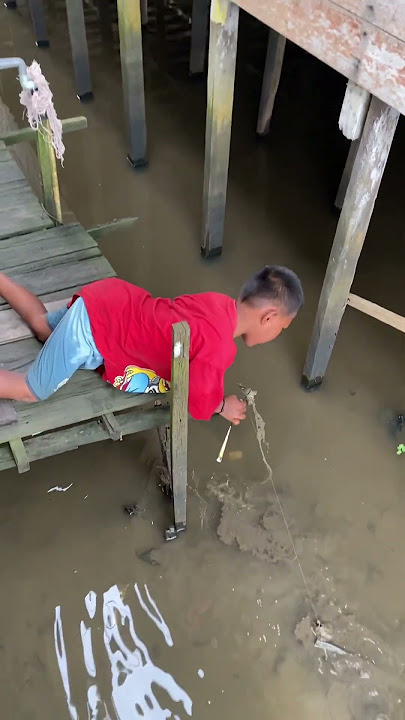 Menyumpit ikan papuyu / betok #banjarmasinbanar #ngeshortsbareng #shortvideo #2023inshorts