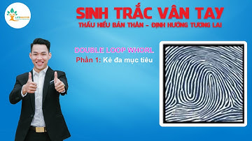 Đặc Điểm Dấu Vân Tay Double Loop Whorl (WD) - Người Đa Mục Tiêu - Phần 1