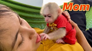 Baby monkey Abi wakes up her mother to prepare food