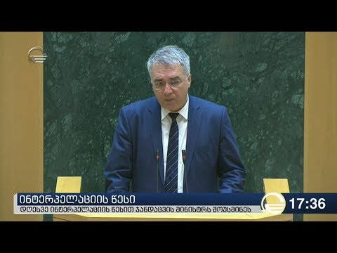 პარლამენტში დავით სერგეენკოს მოუსმინეს