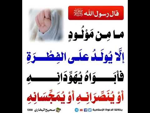 المولود يولد على الفطرة رسول الله ﷺ إسلام أذكار دعاء القرآن Quran Islam Foryou Today