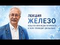 ЖЕЛЕЗО | ИЗБЫТОК ИЛИ НЕДОСТАТОЧНОСТЬ, К ЧЕМУ ПРИВОДИТ ДИСБАЛАНС