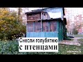 Снесли голубятню вместе с птенцами в Бескудниковском районе, которая простояла более полувека.