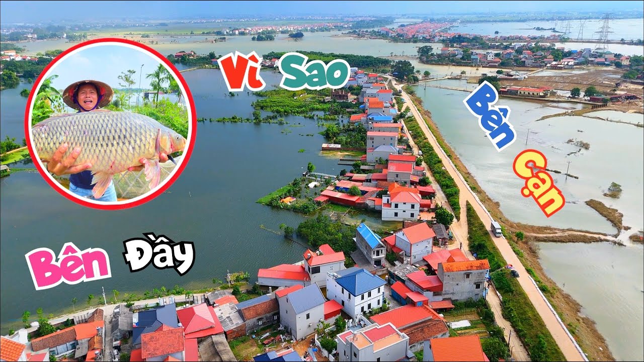 Vì Sao Nước Ngoài Sông Đã Cạn Mà Nhà Mình Vẫn Đầy / Quế Nghịch