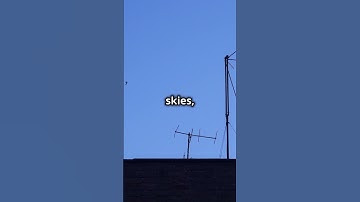 Take flight with the world