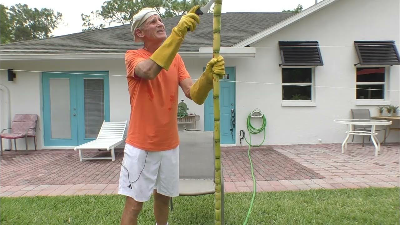 Detox And Cleanse The Liver With Sugarcane Juice HD 1080p YouTube