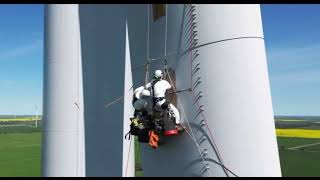 Blade repair using rope access