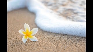 Peaceful Music, Relaxing Music, Instrumental Music,