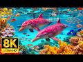 Colorful Underwater Creatures in 8K ULTRA HD – Sea Animals &amp; Marine Life with Relaxing Sleep Music