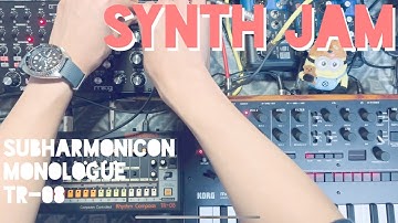 MOOG Subharmonicon Synth Jam with Korg Monologue & Roland TR-08