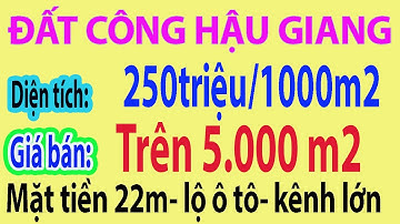 CẦN BÁN GẤP HƠN 5 CÔNG ĐẤT RUỘNG- LỘ Ô TÔ TẠI XÃ VỊ TÂN HẬU GIANG