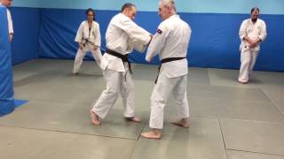 Morote kiri kaeshi nage - Giwakempo 義和拳法