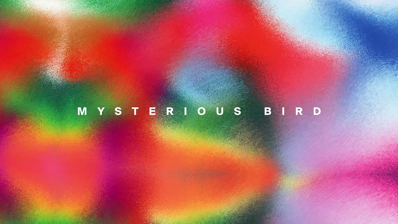 Watch Romain Garcia - Mysterious Bird on YouTube