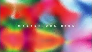 Romain Garcia - Mysterious Bird