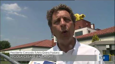 Quanti formaggi ci sono in Lombardia?