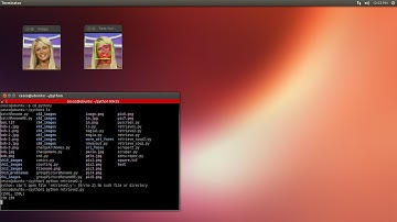 OpenCV Programming with Python on Linux Ubuntu Tutorial-11 Face Detection Cont.