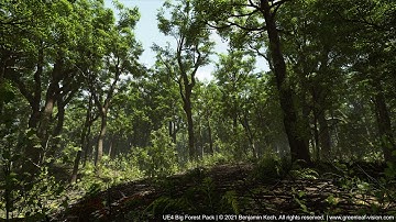 Big Forest Pack - Sunrise - Ray tracing Test - Unreal Engine 4.26 (4K)