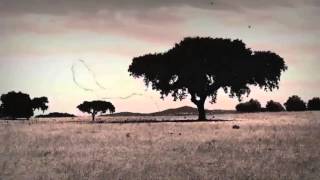 ALENTEJO, TERRA SINGULAR COM O MELHOR VINHO DO MUNDO