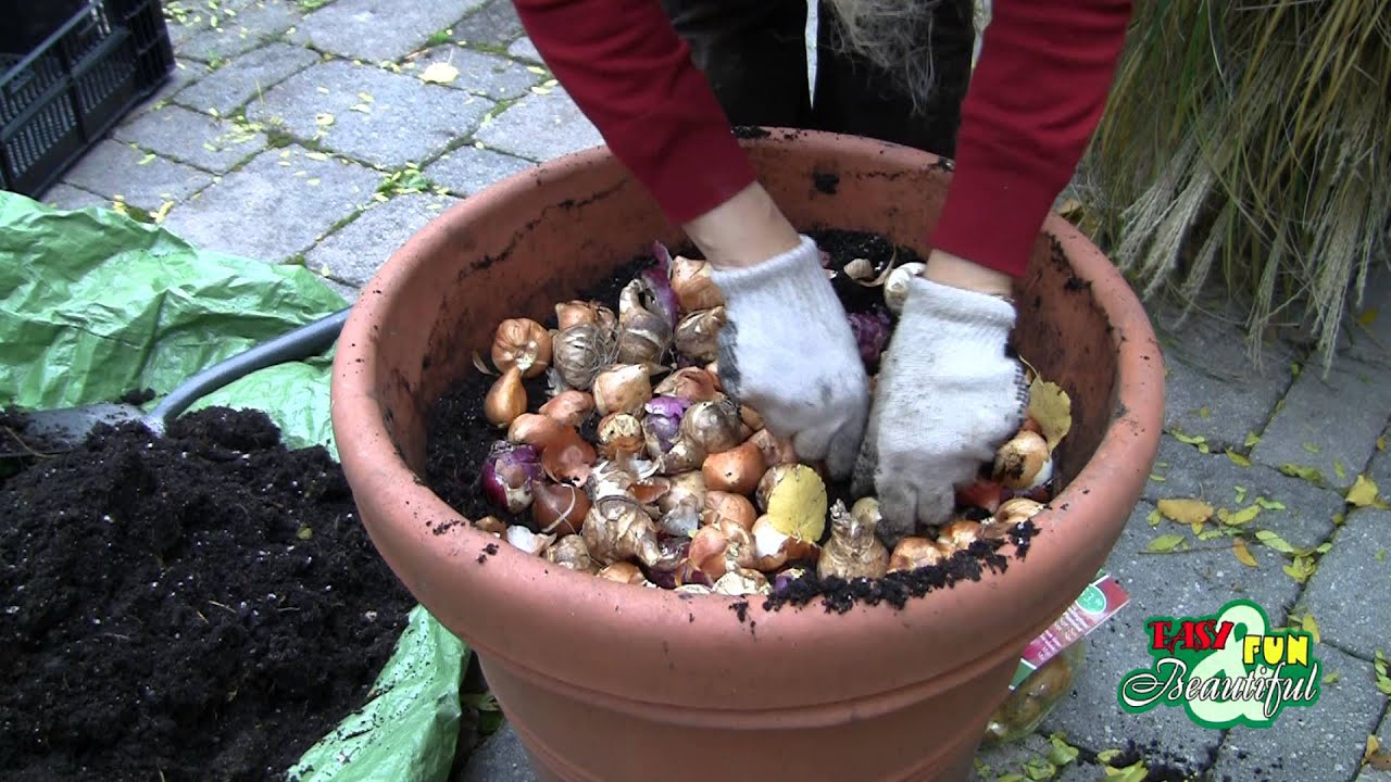 Lampe fleur conteneur facile plasir et belle