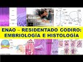 ENAO "EMBRIOLOGÍA E HISTOLOGÍA ORAL"