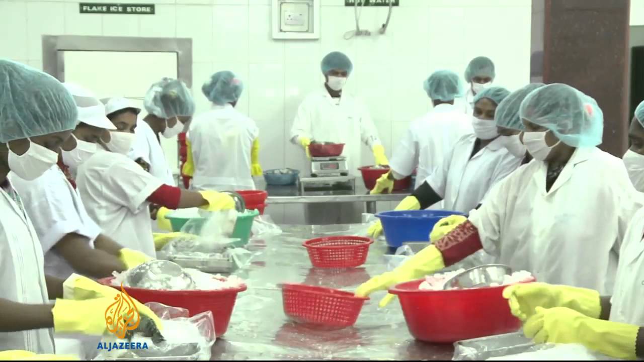 تضرر مزارعو بنغلاديش من إرث الروبيان