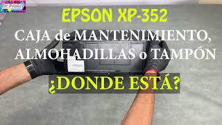 COMO CAMBIAR TAMPON, ALMOHADILLAS O CAJA DE MANTENIMIENTO EN EPSON XP-352 by Bioprinter 148 views 1 month ago 1 minute, 54 seconds