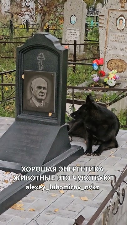 ЖИВАЯ МОГИЛА - YouTube