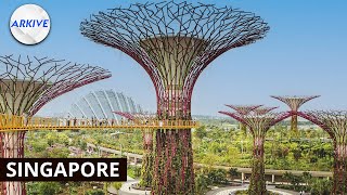 Singapore's Journey to a Greener Future