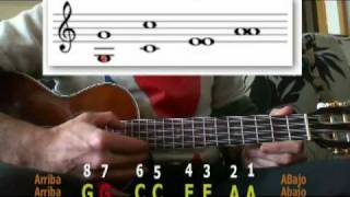 Afinar Ukelele de 8 Cuerdas ( 8 Strings Ukulele Tuning)