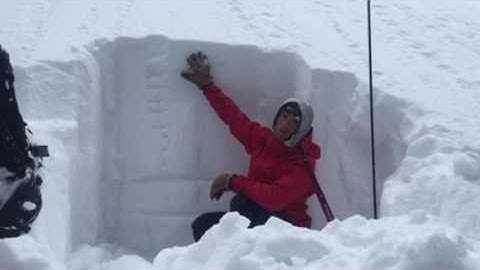 Persistent Slab healing near treeline