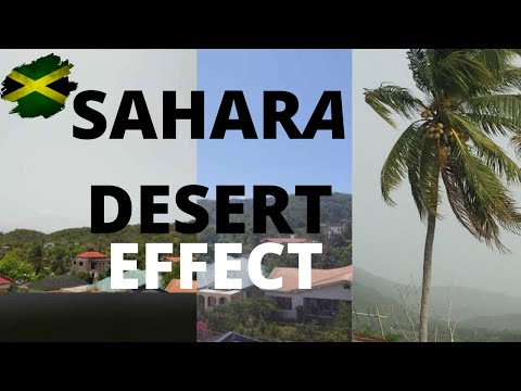 SAHARA DESERT EFFECT ON JAMAICA 22/06/2020