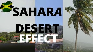 Видео SAHARA DESERT EFFECT ON JAMAICA 22/06/2020 (автор: Fire Reid)