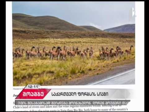 კახეთი ღვინის კულტურის 12 რეგიონს შორის მოხვდა