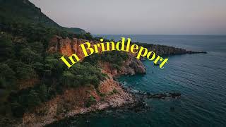 Brindleport — The Driftwood Radio Archives (Primary Transmission) Ep. 1
