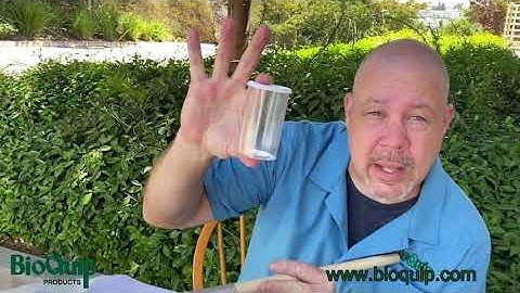 Catching an Insect With a Net