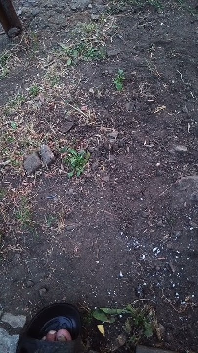 Автомат для наполнения бака водой. - YouTube
