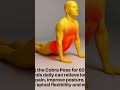 SPINAL CORD PROBLEMS TRY COBRA POSTER.THANK MR LATER #viral #fitness #gymmotivation #gymlife
