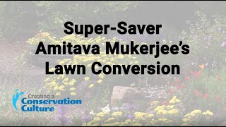 Loving the Lawn Conversion