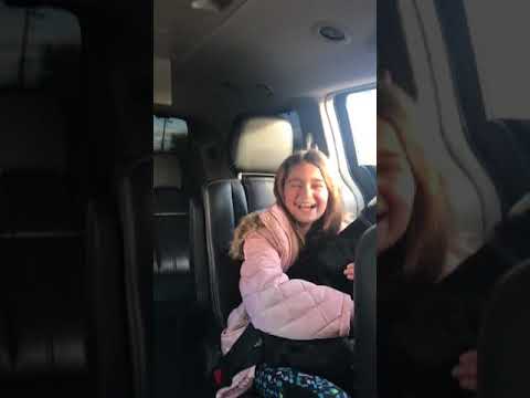 Bulldog Driving - Funny English Bulldog Video camera iphone 8 plus apk