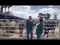 Entrevista a Adrián Iglesias que vendió varios animales en la feria de San Isidro de Llanera.