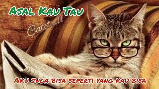 Bayu Satya Ds  Asal Kau Tau