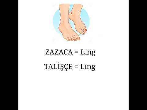 Zazaca ve Talışça benzerliği - Сходство Заза и Талыша -شباهت های زازا و تالیش