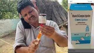 Treatment of Anorexia in Cow | Dr Umar Khan