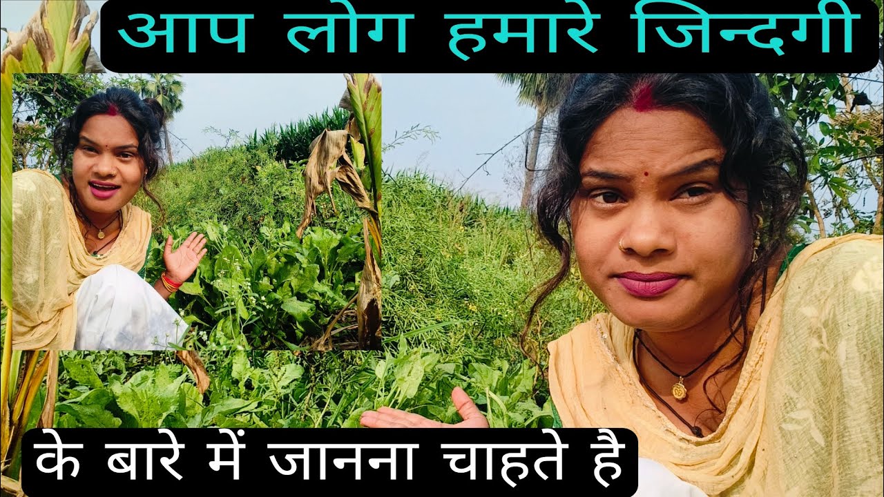 आप लोग को मेरा वीडियो अच्छा लगे तो कमेंट कीजिएगा 🤔🤔🤔🤔🤔